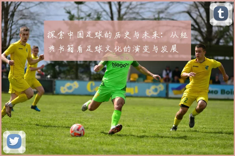 探索中国足球的历史与未来：从经典书籍看足球文化的演变与发展