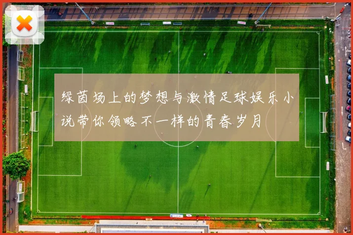 绿茵场上的梦想与激情足球娱乐小说带你领略不一样的青春岁月