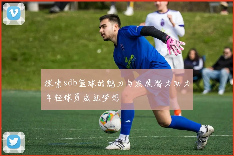 探索sdb篮球的魅力与发展潜力助力年轻球员成就梦想