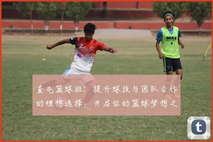 奎屯篮球班：提升球技与团队合作的理想选择，开启你的篮球梦想之旅
