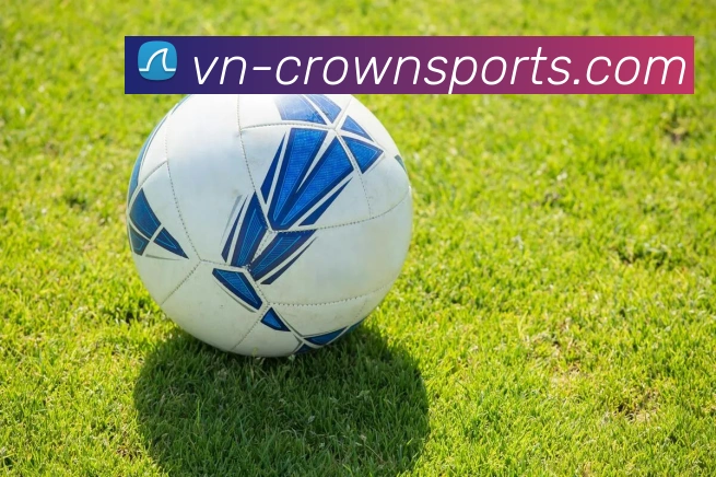 安卓客户端服务体系